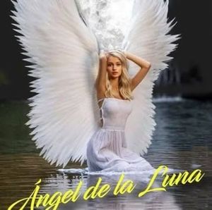 Meet your Posher, Ángel de la luna